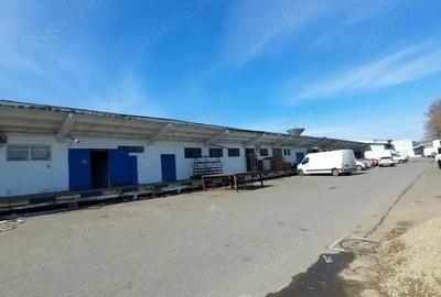 Depozite Refrigerare + Congelare - 1