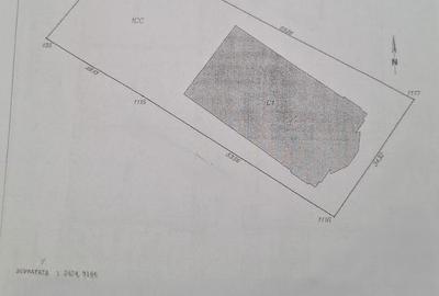Cladire reprezentativa de vanzare | S+P+3E - 2006 | Vad Stradal  - Constanta - 29