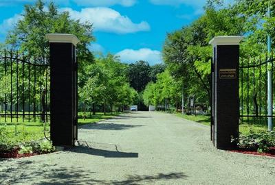 Un Domeniu Unic Lângă București. Luxul Pe Un Singur Nivel: Vilă De Vânzare - 48