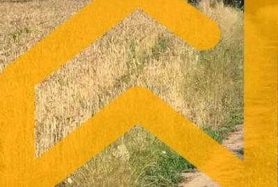 Teren Construcții intravilan de 1588 mp, în Cernica - 3