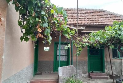 Casa de vânzare - 1