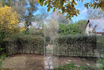 CABANA LA 3 INSULE CU IESIRE LA MURES LA PRET DE GARSONIER - 6