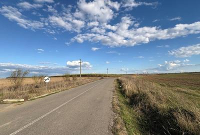 📍 Teren intravilan 25.535 mp – Cocani / Răcari – acces asfalt, curent, apă – 9 📍 Teren intravilan 25.535 mp – Cocani / Răcari – acces asfalt, curent, apă – 9 - 2