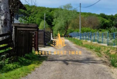 Teren extravilan 2200 mp - Budeasa Mica, Arge?, COMISION 0. - 11