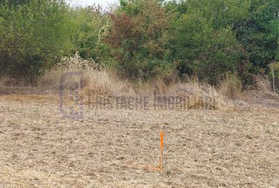 Teren Construcții intravilan de 527 mp, în Domnești