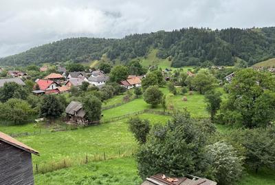 Castelul Bran, Moeciu de Jos - 1