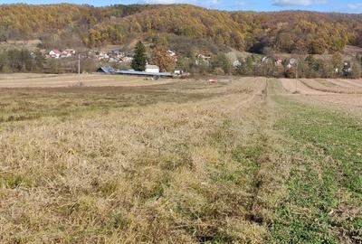 Teren agricol extravilan de 8000 mp, în Drăganu - 1
