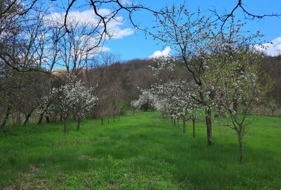 Casă cu 4 camere în Policiori - 7