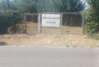 Gradina de vanzare intre Cristian si Orlat - 5