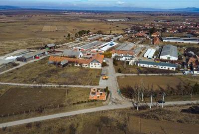 FILM! Complex agrozootehnic cu traditie, echipat + pretios potential multiplu, C - 16