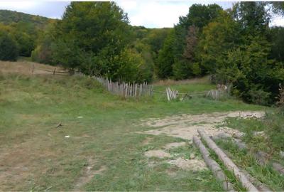 Teren agricol extravilan de 15355 mp, în Est - 4