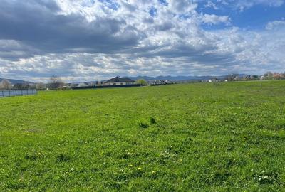 Teren de 3600 mp, în Vicovu de Sus - 1