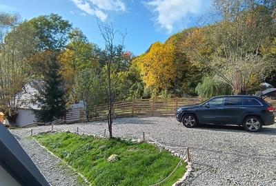 Campina, Plaiu Campinei - 13