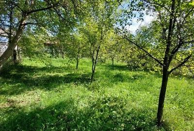 Casă în Frâncești - 9