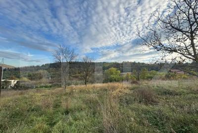 Teren de 1466 mp, în Bejan - 4