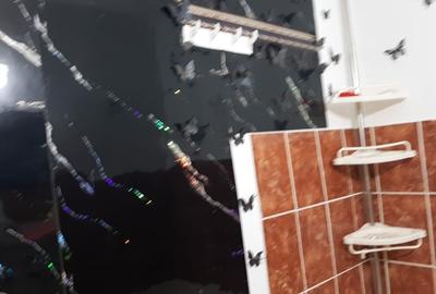 Apartament cu 2 camere semidecomandat, mobilat în Bd. Independenței - 2