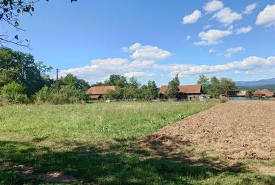 Teren intravilan pentru casa sau vacanta, Lunca, Baia de Cris - 2