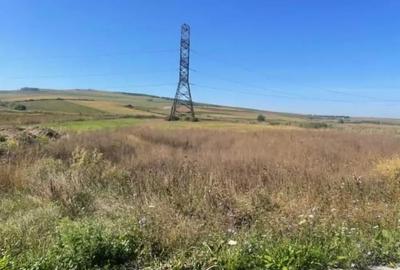 Teren de 8000 mp, în Central - 1