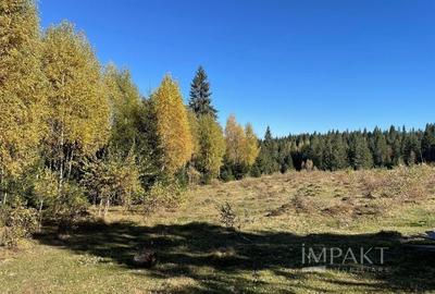 Teren intravilan de 2001 mp în Calatele Padure, comuna Calatele! - 4