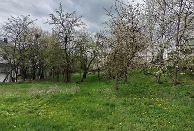 Teren de 2368 mp, în Ipotești - 6