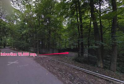 De vanzare teren superb cu deschidere la lacul si padurea Snagov - 5