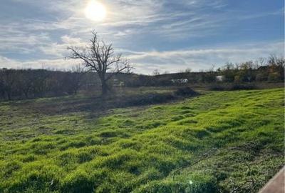 Spațiu comercial, în Cosâmbești - 2