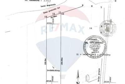 Teren Construcții intravilan de 4000 mp, în Mogoșoaia - 4