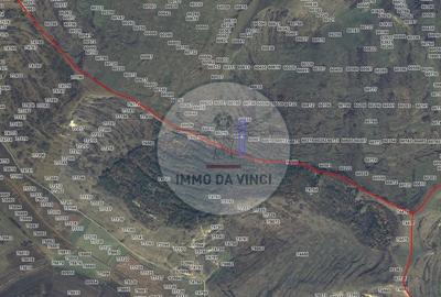 Teren de 38000 mp, în Borșa - 10