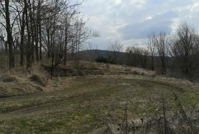 Spațiu comercial, în Luncani - 2