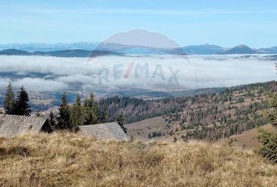 Teren 31,461mp Panaci / Prelungirea Ialovita - 24