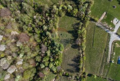 Teren Construcții intravilan de 6800 mp, în Bran - 1