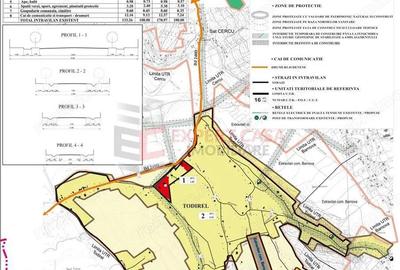 Teren intravilan Barnova Todirel - 5