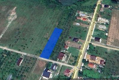 Teren Construcții intravilan de 1400 mp, în Voila