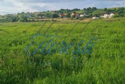 Teren de 600 mp, în Baciu