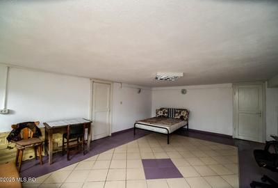 Freidorf - Vila Multifunctionala - D+P+1, 380 mp utili! - 18
