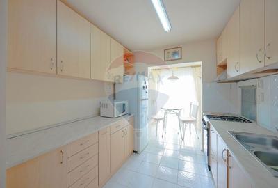 Apartament cu 2 camere decomandat în Nufărul - 4