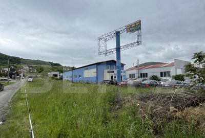 Teren de 1100 mp, în Viișoara - 14