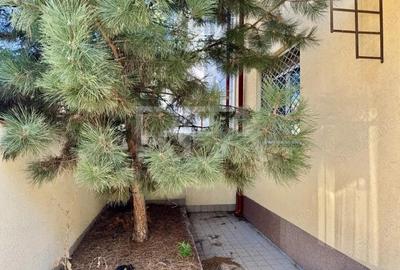 3 camere langa Piata Floreasca pretabil si comercial - 8