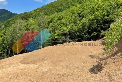 Teren 2200 mp, intravilan, zona Somesul Rece - 4