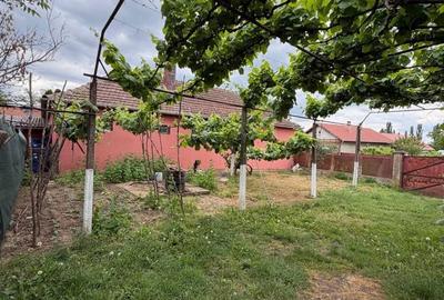 Casă cu 3 camere în Diosig - 1