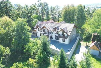 Pensiune de vanzare in Sovata Conacul Cosalina - 7