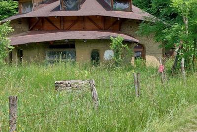 Casă cu 6 camere cu Teren 2700 Mp în Bradu - 6