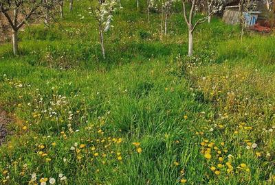 Casa batraneasca din lemn - 3