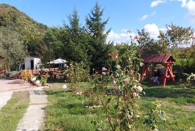 Casă în Ocnele Mari - 9