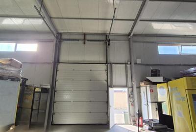 Hale | Afumati DN2 | 1000mp - 11