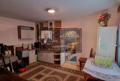 Casă cu 2 camere decomandat în Viișoara - 3