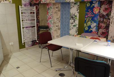 Casă individuală cu 6 camere cu Teren 400 Mp în Matei Voievod - 21