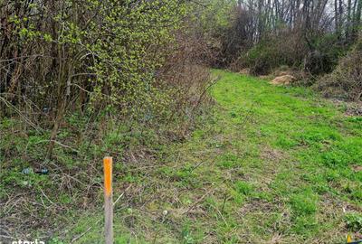 Spațiu comercial, în Lunca Calnicului - 5