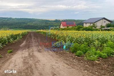 Teren de 550 mp, în Valea Lupului