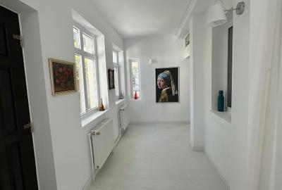 IMOBIL ULTRACENTRAL SINGUR IN CURTE - 15